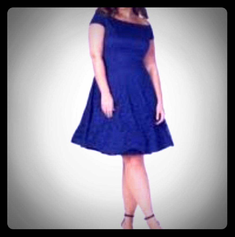 Absolutely stunning fit and flare dress
